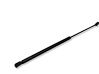 Tailgate/trunk/boot tension spring 06923502500N