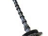 Camshaft 55570030
