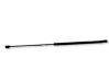 Tailgate/trunk strut/damper F1290N