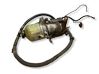 Electric power steering pump M27771528TD