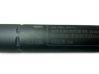 Tailgate/trunk strut/damper 0113050384