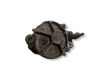 Vacuum pump D1562C1