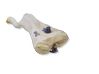 Windshield washer fluid reservoir/tank 289102111R