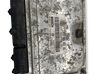 Engine control unit/module 036906032AG