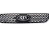 Front grill 863501H200