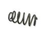 Rear coil spring 