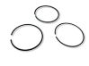 Piston ring 1004795