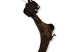 Front lower control arm/wishbone 