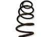 Front coil spring 
