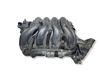 Intake manifold 0120106010