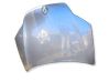 Engine bonnet/hood 