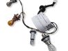Tail light bulb cover holder 1234