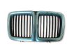 Front grill 1908697