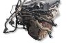 Engine swap CDV