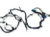 Tailgate/trunk wiring harness 9850316580