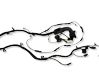 Tailgate/trunk wiring harness 970DAS01501