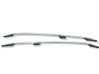 Roof bar rail A1668900393