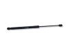 Tailgate/trunk strut/damper 81770A2200