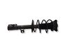 Front shock absorber with coil spring 