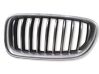Maskownica / Grill / Atrapa górna chłodnicy 7336477