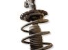 Front shock absorber with coil spring 