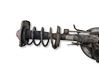 Front shock absorber with coil spring 