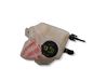 Coolant expansion tank/reservoir 