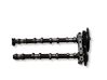 Camshaft 55592785