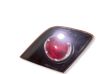 Tailgate rear/tail lights BP4N513J0E
