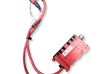 Positive wiring loom 19175000001