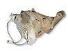 Rear differential 
