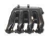 Intake manifold 7795393
