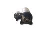 Starteris 98AB11000AD