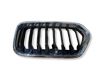 Front grill 7424778