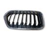 Front grill 7424777