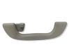 Rear interior roof grab handle D350AH20