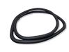 Rear door rubber seal (on body) 