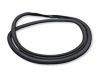 Rear door rubber seal (on body) 