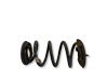 Rear coil spring 104447201E