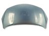 Engine bonnet/hood 