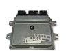Engine control unit/module NEC000818