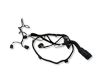 Rear door wiring loom 06700333310