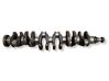 Crankshaft 1719974
