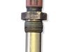 Coolant temperature sensor CVS01