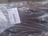Front bumper lower grill 51117459519