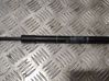 Front bonnet/hood damper/strut 51237308065