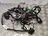 Other wiring loom D33426965