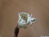 Rear door window regulator with motor 