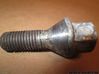 Nuts/bolts 