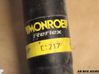 Rear shock absorber/damper 